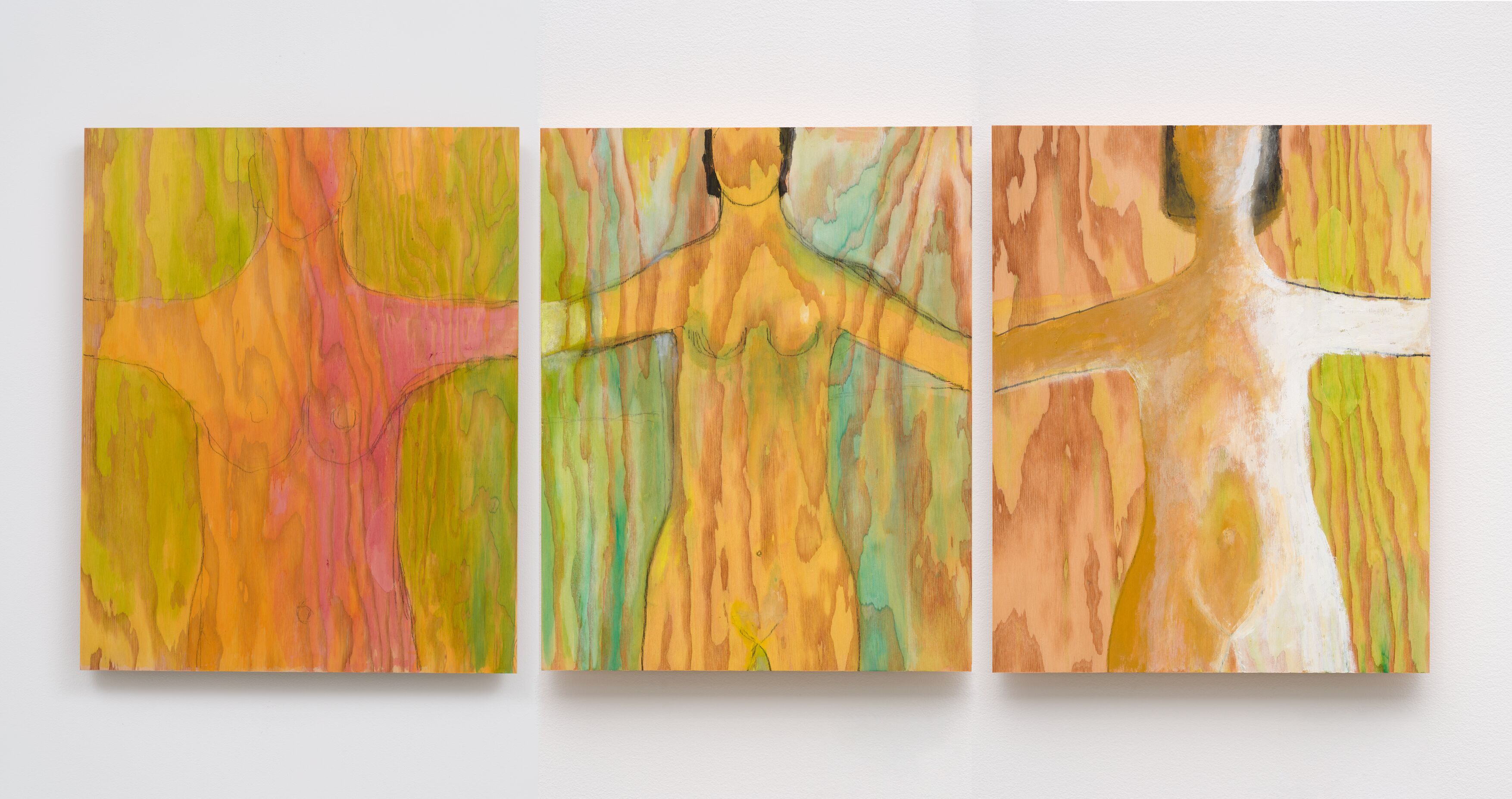 Luchita Hurtado, Same Species, All Related, 2019