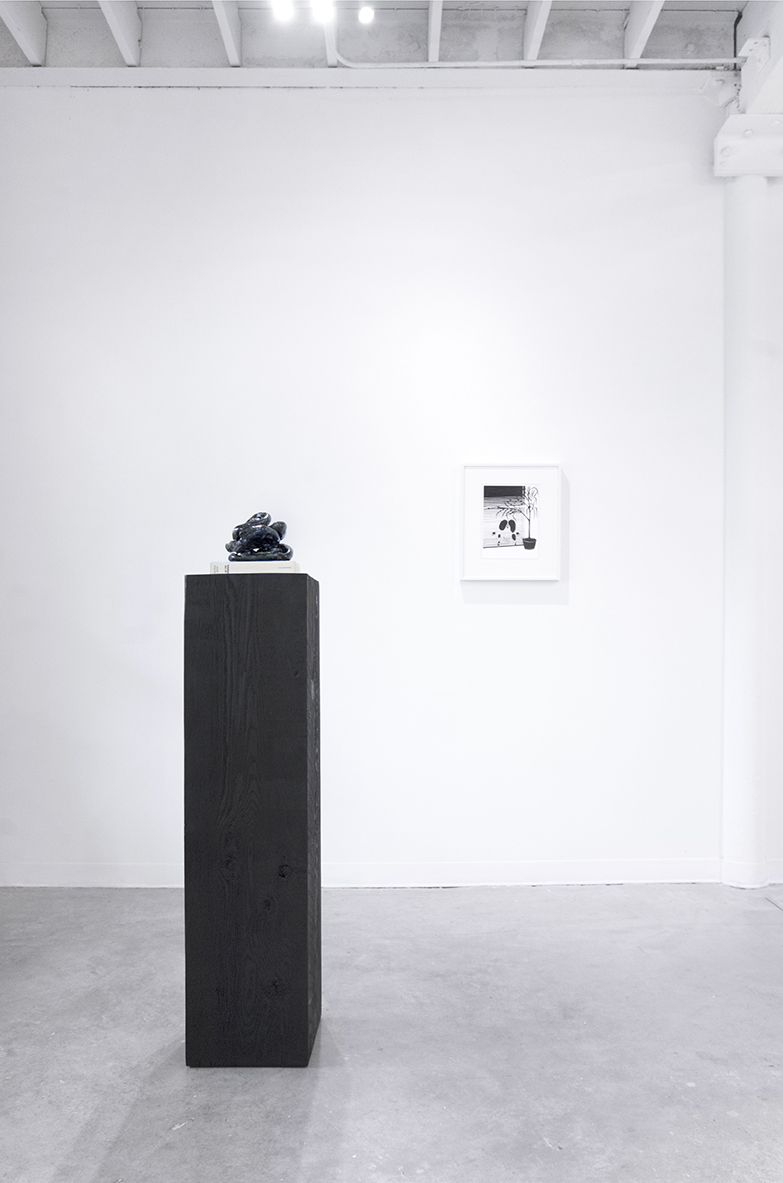 Installation view, The Split, Curated by Amanda Schmitt, April 22 – May 20, 2017, GRIN, Rhode Island